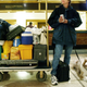 Illustration for article titled If You've Stayed in a Hotel Your Data Has Probably Been Leaked, Report Finds